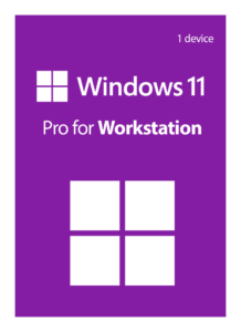 Windows 11 Pro for Workstation, 32/64 bit, digital key